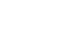 Lazada Vertical